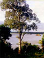 rio uruguai